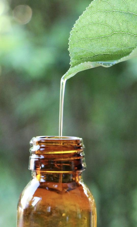 solutions naturelles à base de plantes